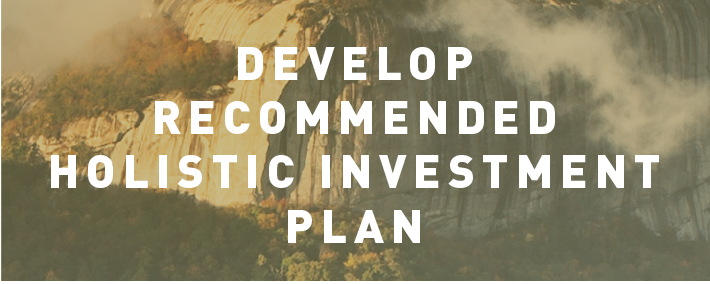 Develop recommended holistic Investment plan .png